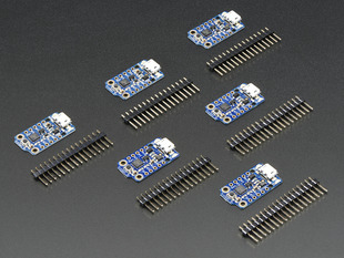 Angled shot of 6 Trinkets next to 16-pin headers.