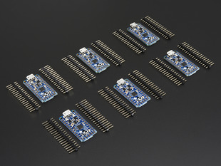 Angled shot of 6 Trinkets next to two 16-pin headers each. 