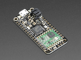 Angled shot of rectangular microcontroller.