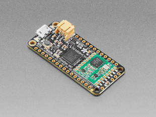 Angled shot of rectangular microcontroller.