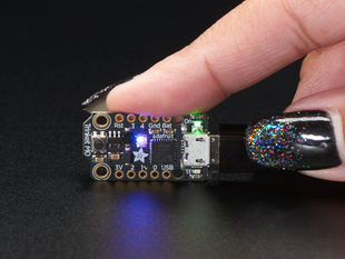 Manicured hand holding Trinket M0.