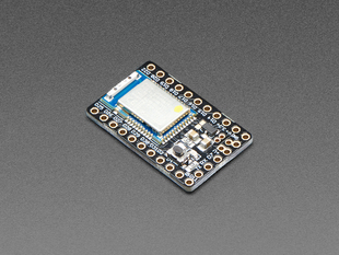 Angled shot of a Espruino MDBT42Q Breakout.
