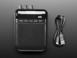 Monoprice 5-Watt Guitar Amplifier and  Portable Recorder