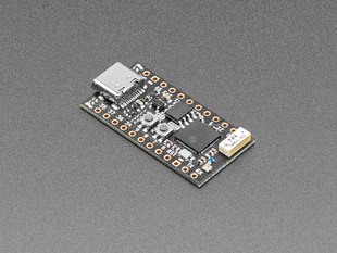 Angled shot of black rectangular microcontroller.