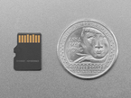 Back of microSD card next to US quarter for scale.