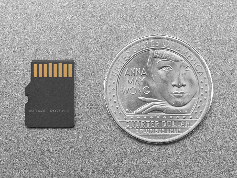 Back of microSD card next to US quarter for scale.